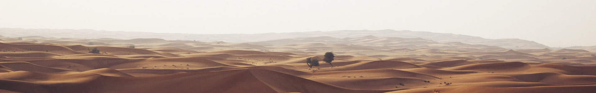 ĳŷле޹˾